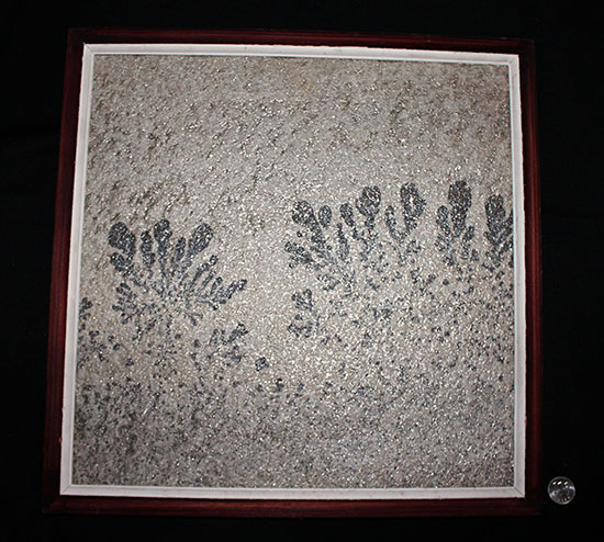 ほとんど絵画と言える見栄え。自然が生み出したアート、鉱物デンドライト。木枠入りオールドコレクション。(その11)