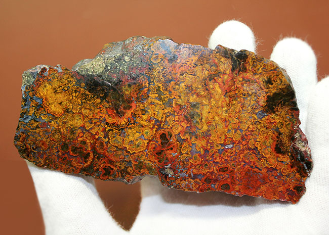 特大!色鮮やか!人気のハンガリー産のストロマトライトを含むメノウ(Agate)(その1)