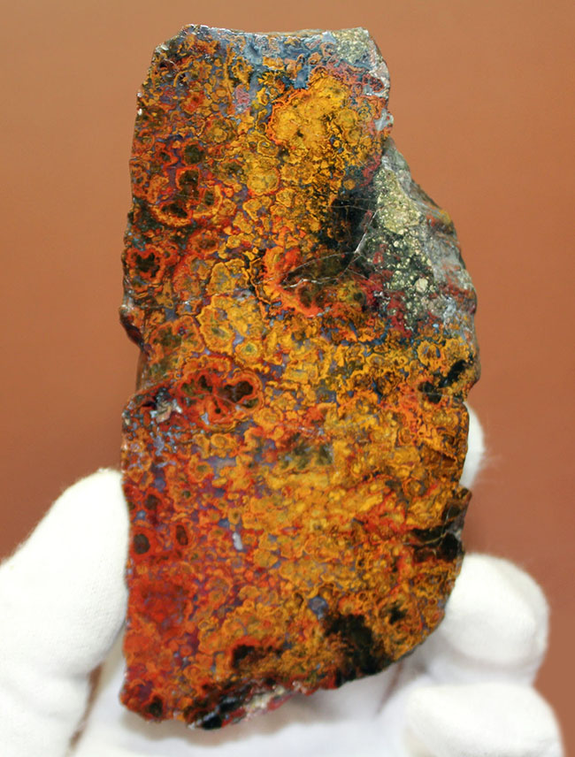 特大!色鮮やか!人気のハンガリー産のストロマトライトを含むメノウ(Agate)(その2)