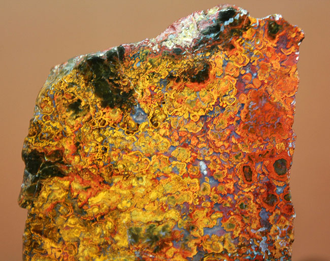 特大!色鮮やか!人気のハンガリー産のストロマトライトを含むメノウ(Agate)(その3)