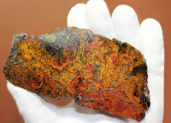 特大!色鮮やか!人気のハンガリー産のストロマトライトを含むメノウ(Agate)(その7)