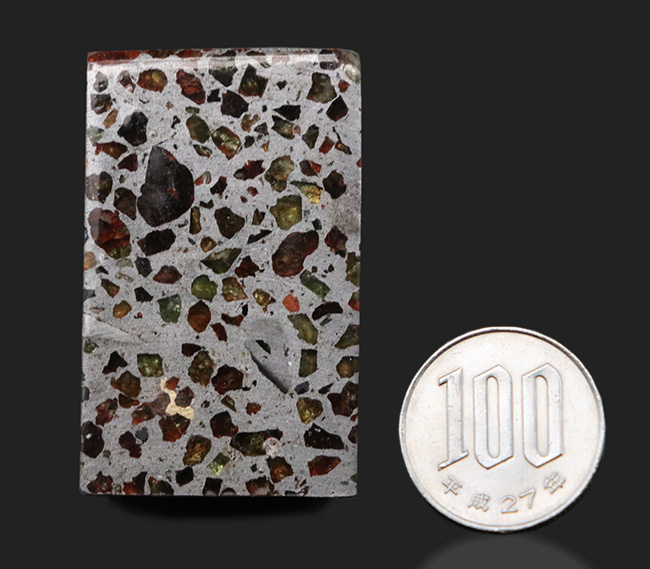 人気！贅沢な直方体型カット！「世界で最も美しい隕石」と評される石鉄隕石、パラサイト（その11）
