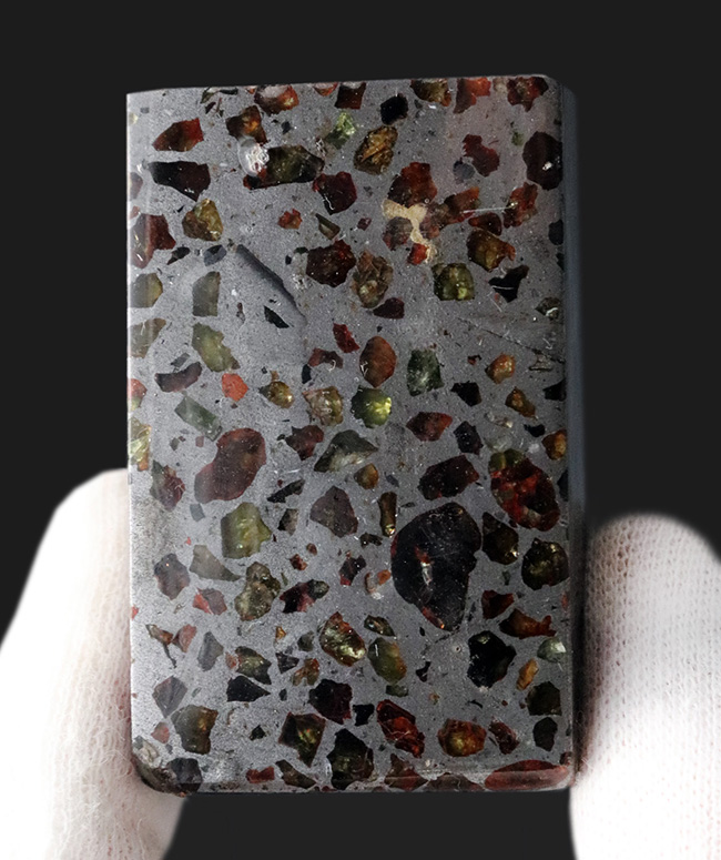 人気！贅沢な直方体型カット！「世界で最も美しい隕石」と評される石鉄隕石、パラサイト（その3）