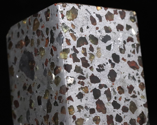 人気！贅沢な直方体型カット！「世界で最も美しい隕石」と評される石鉄隕石、パラサイト（その5）