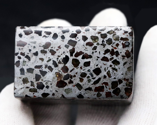 人気！贅沢な直方体型カット！「世界で最も美しい隕石」と評される石鉄隕石、パラサイト（その6）