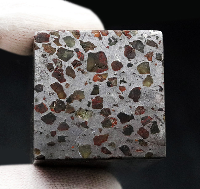人気！贅沢な直方体型カット！「世界で最も美しい隕石」と評される石鉄隕石、パラサイト（その9）