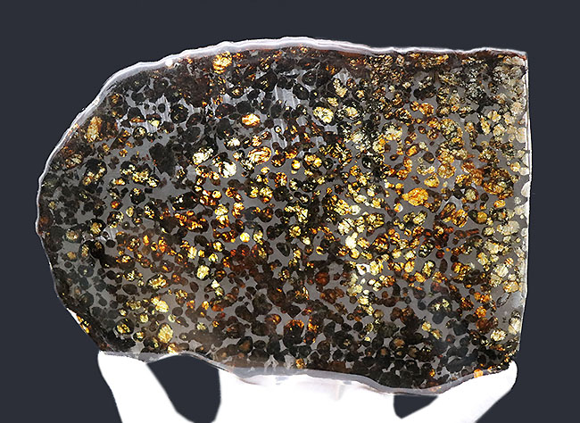 ２０センチ超え！地球史という極めて巨大なスケールで語られるべき、宇宙からの贈り物。２０センチの特大隕石標本！ケニア・セリコ産の上質なパラサイト隕石（本体防錆処理済み）（その5）