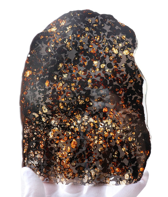 ２０センチ超え！地球史という極めて巨大なスケールで語られるべき、宇宙からの贈り物。２０センチの特大隕石標本！ケニア・セリコ産の上質なパラサイト隕石（本体防錆処理済み）（その8）