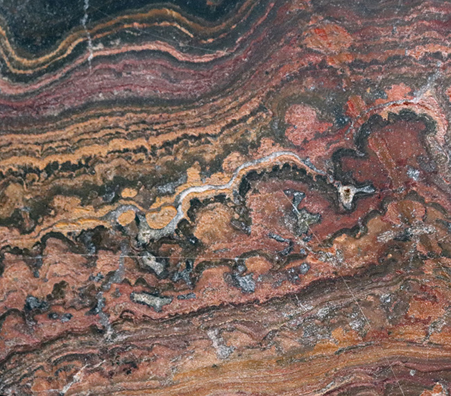 地球に酸素をありがとう!超ビッグサイズ!先カンブリア時代のボリビア産ストロマトライト(Stromatolite)のプレート標本(その8)