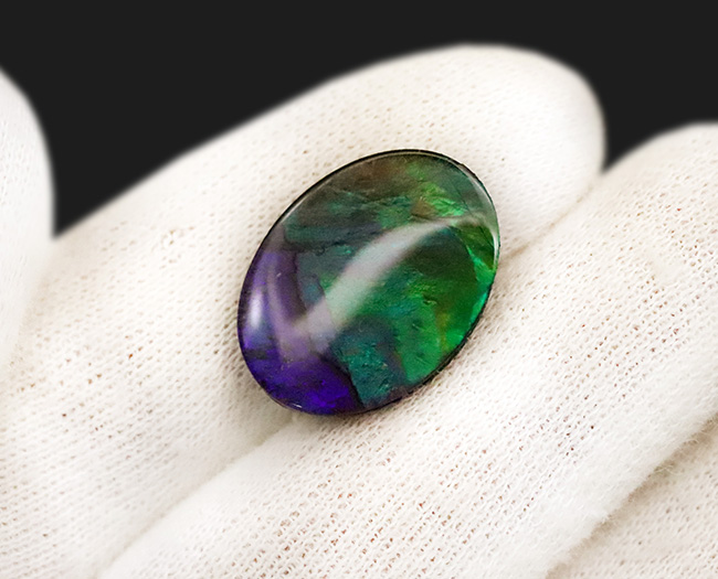 希少色のブルー&パープルを呈します!カナダ・アルバータ州の大地が生んだ、生物起源の希少な宝石……アンモライト(Ammolite)のカボション(その2)