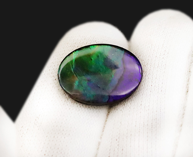 希少色のブルー&パープルを呈します!カナダ・アルバータ州の大地が生んだ、生物起源の希少な宝石……アンモライト(Ammolite)のカボション(その3)