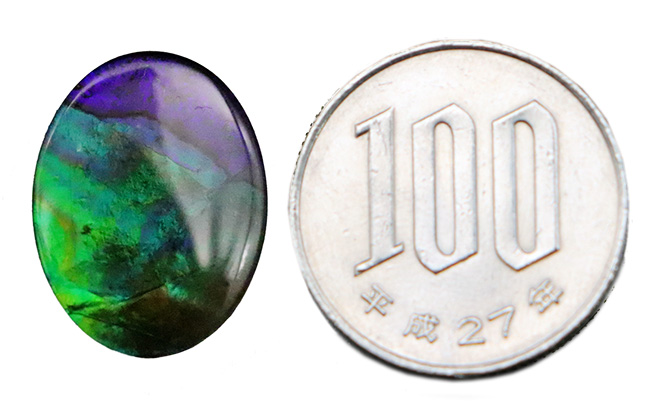 希少色のブルー&パープルを呈します!カナダ・アルバータ州の大地が生んだ、生物起源の希少な宝石……アンモライト(Ammolite)のカボション(その6)