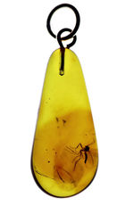 およそ４０００万年前の虫が内包されたバルト海産の琥珀を使ったペンダントトップ（シルバーチェーン、革紐、高級ジュエリーケース付）