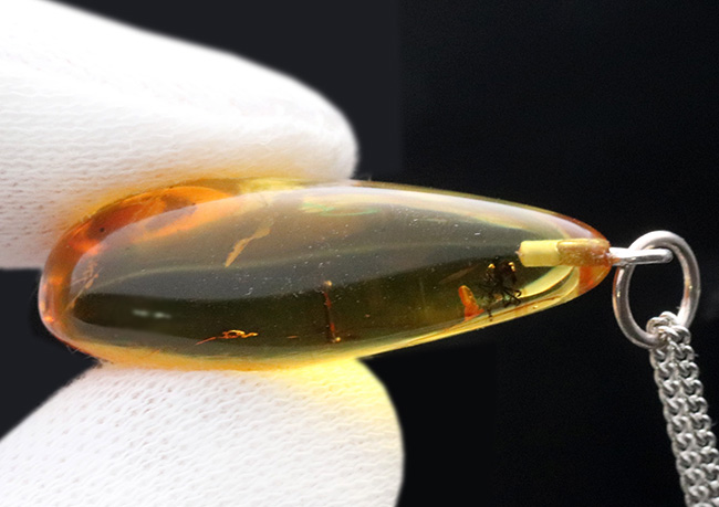 世界最古の宝石、厚みがあるのに透明感抜群。虫を内包したバルト海産琥珀（Amber）ペンダントトップ（シルバーチェーン、高級ジュエリーケース付き）（その10）
