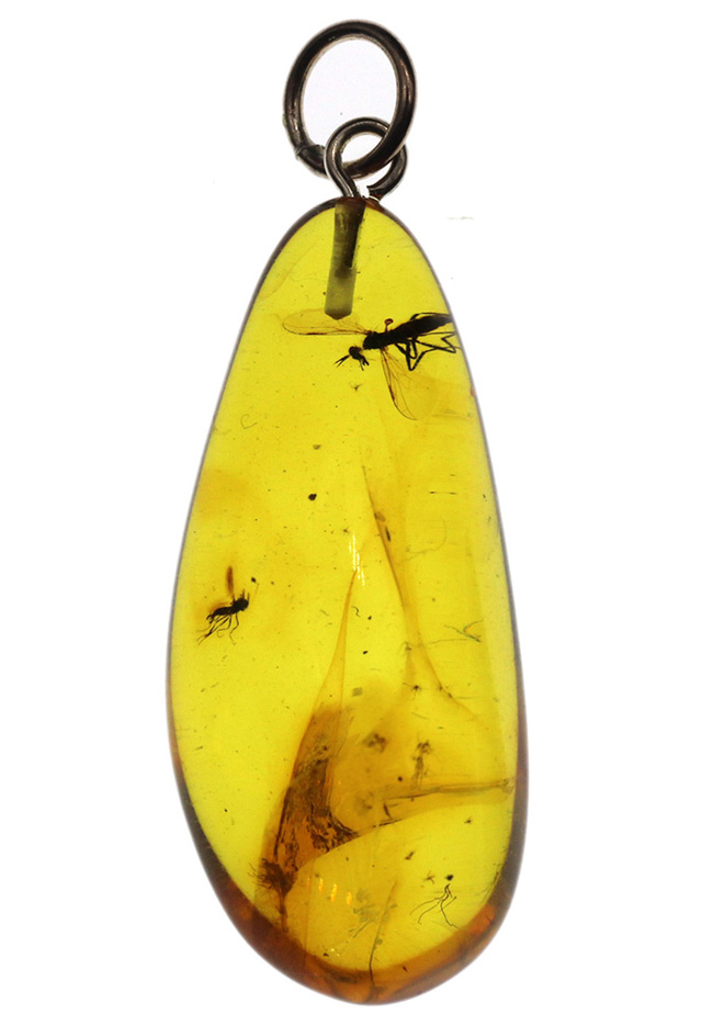 世界最古の宝石、厚みがあるのに透明感抜群。虫を内包したバルト海産琥珀（Amber）ペンダントトップ（シルバーチェーン、高級ジュエリーケース付き）（その2）