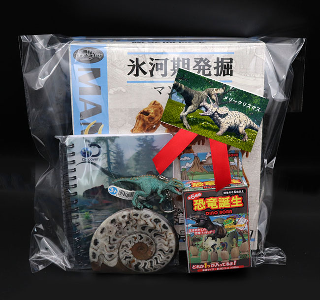 恐竜好きお子様のクリスマスプレゼントにぴったり！古生物の発掘体験キットや恐竜３Dノート、キーチェーン、フィギュア、本物化石の大きなゴニアタイトアンモナイトがセットになった、お得なアソートセット標本！（その7）
