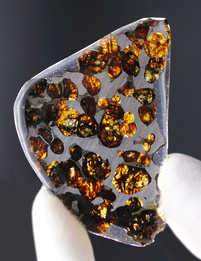 ナイスピース！２０１６年に発見された新しいパラサイト隕石、ケニヤ産パラサイト隕石（本体防錆処理済み）（その1）