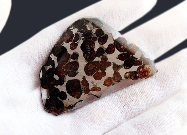 ナイスピース！２０１６年に発見された新しいパラサイト隕石、ケニヤ産パラサイト隕石（本体防錆処理済み）（その5）