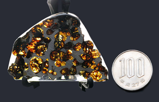 ナイスピース！２０１６年に発見された新しいパラサイト隕石、ケニヤ産パラサイト隕石（本体防錆処理済み）（その7）