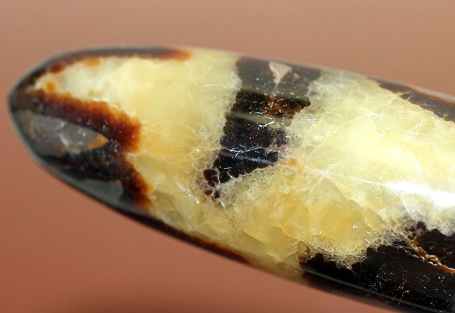 240g、12センチという非常に大きなイエローセプタリアン(Yellow septarian)状態も申し分なし。(その10)