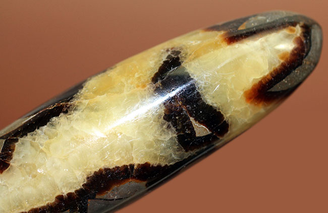 240g、12センチという非常に大きなイエローセプタリアン(Yellow septarian)状態も申し分なし。(その11)