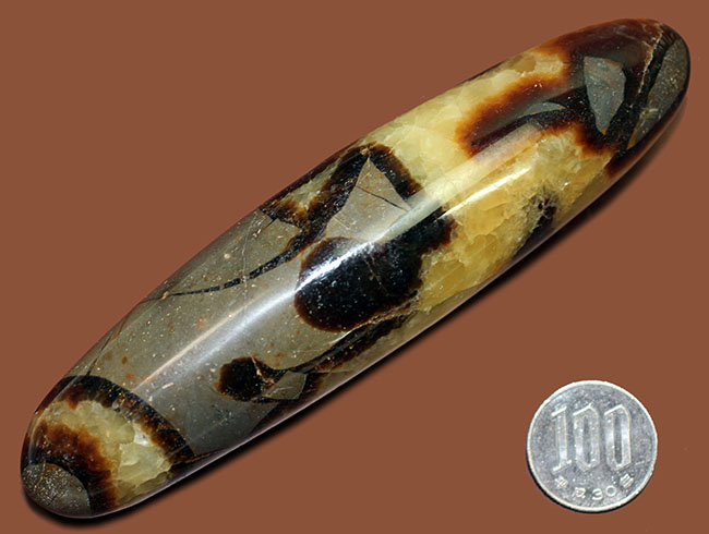 240g、12センチという非常に大きなイエローセプタリアン(Yellow septarian)状態も申し分なし。(その12)