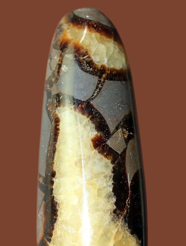 240g、12センチという非常に大きなイエローセプタリアン(Yellow septarian)状態も申し分なし。(その2)
