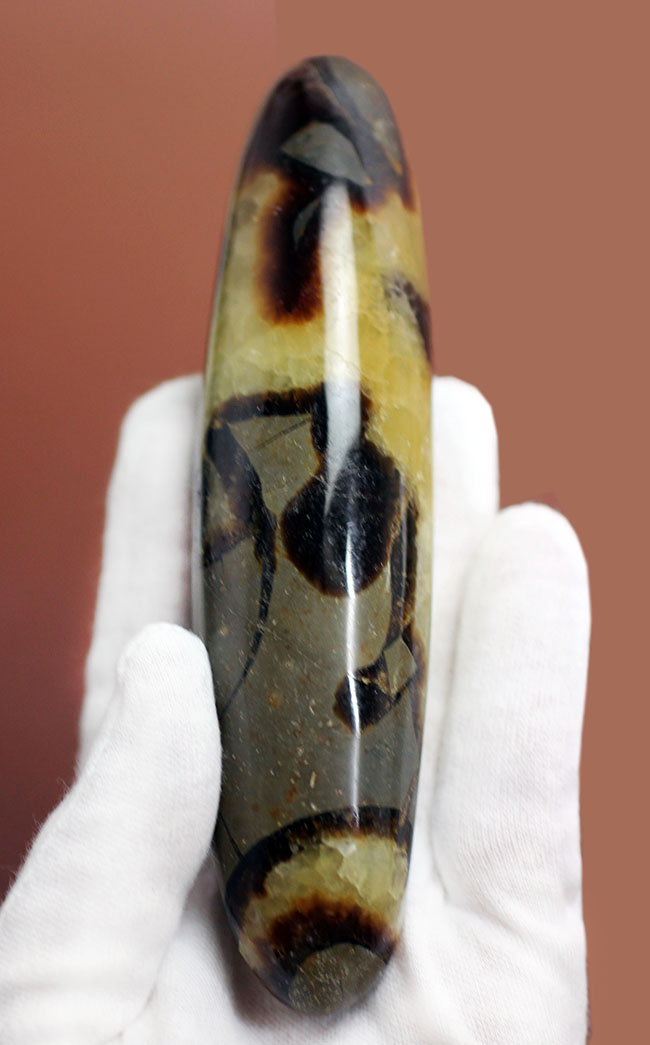 240g、12センチという非常に大きなイエローセプタリアン(Yellow septarian)状態も申し分なし。(その3)