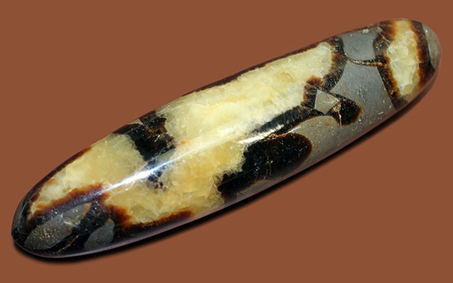 240g、12センチという非常に大きなイエローセプタリアン(Yellow septarian)状態も申し分なし。(その4)