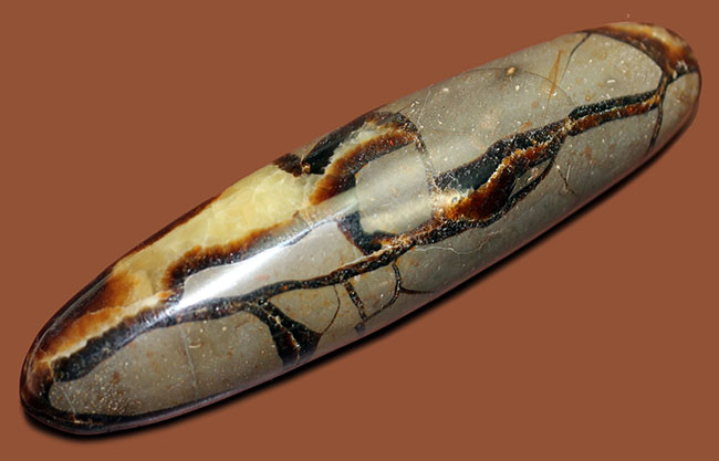 240g、12センチという非常に大きなイエローセプタリアン(Yellow septarian)状態も申し分なし。(その5)