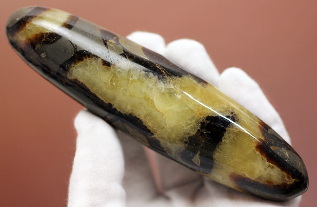 240g、12センチという非常に大きなイエローセプタリアン(Yellow septarian)状態も申し分なし。(その6)