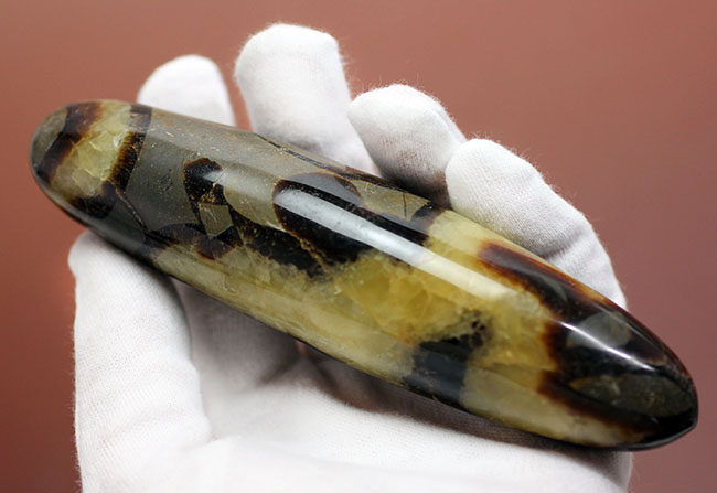 240g、12センチという非常に大きなイエローセプタリアン(Yellow septarian)状態も申し分なし。(その7)