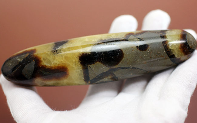 240g、12センチという非常に大きなイエローセプタリアン(Yellow septarian)状態も申し分なし。(その9)