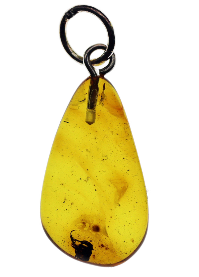 およそ４０００万年前の虫が内包されたバルト海産琥珀（Amber）を使ったペンダントトップ（シルバーチェーン、高級ジュエリーケース付き。）（その1）