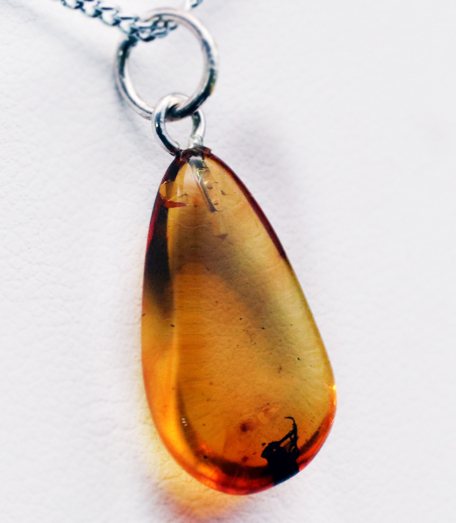 およそ４０００万年前の虫が内包されたバルト海産琥珀（Amber）を使ったペンダントトップ（シルバーチェーン、高級ジュエリーケース付き。）（その4）