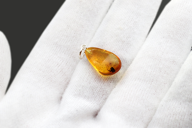 およそ４０００万年前の虫が内包されたバルト海産琥珀（Amber）を使ったペンダントトップ（シルバーチェーン、高級ジュエリーケース付き。）（その6）