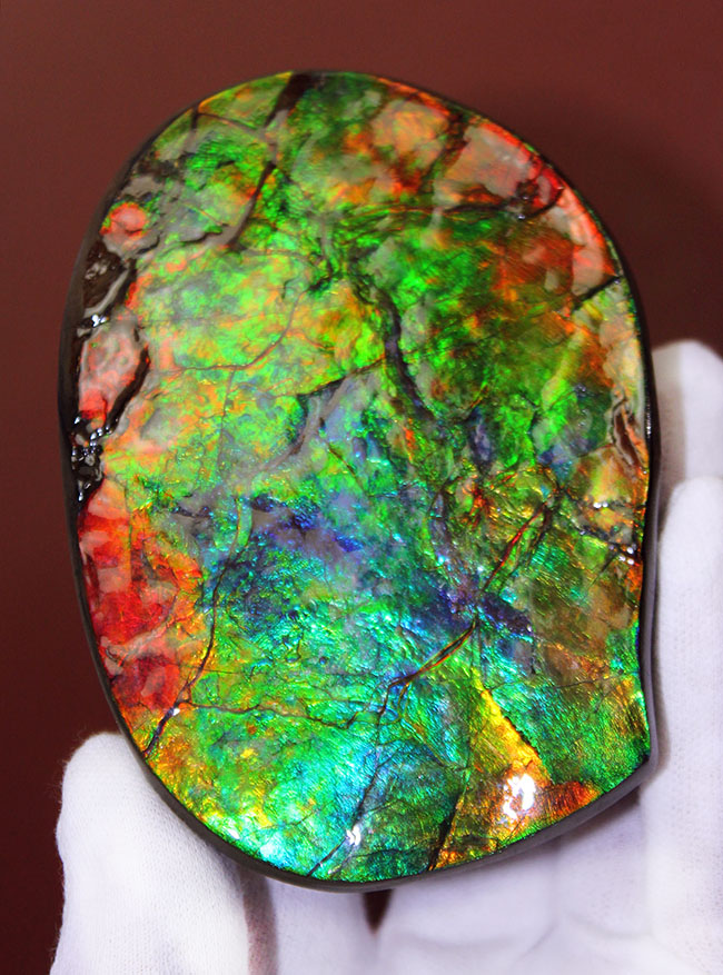 最強のコレクション！いつでも貴方の眼前で虹が踊り輝き出す！最高峰のアンモライト（Ammolite）ピース（その1）