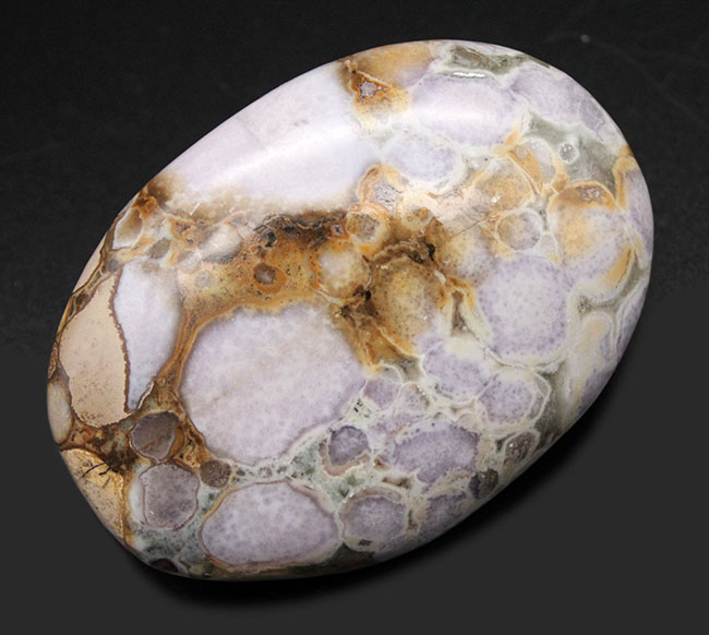 珍しい紫色。裏側はブラウン系。両面全く異なる配色のオービキュラージャスパー（Orbicular Jasper）（その1）