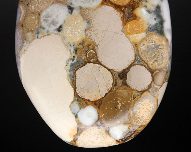 珍しい紫色。裏側はブラウン系。両面全く異なる配色のオービキュラージャスパー（Orbicular Jasper）（その10）