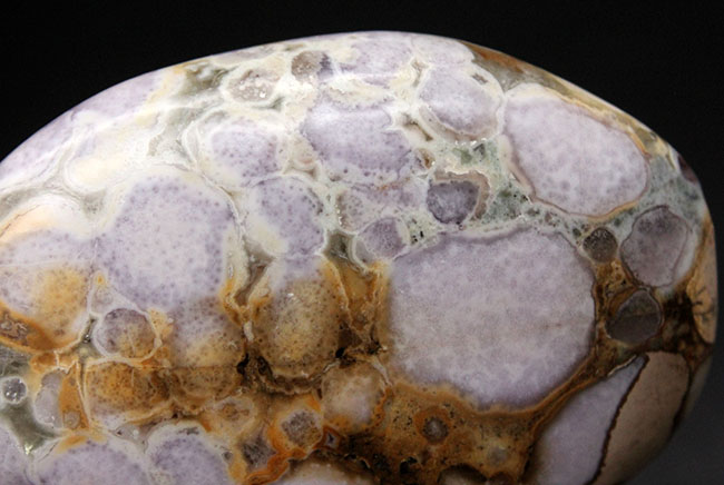 珍しい紫色。裏側はブラウン系。両面全く異なる配色のオービキュラージャスパー（Orbicular Jasper）（その11）