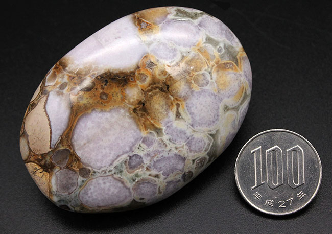 珍しい紫色。裏側はブラウン系。両面全く異なる配色のオービキュラージャスパー（Orbicular Jasper）（その13）