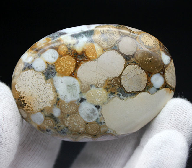 珍しい紫色。裏側はブラウン系。両面全く異なる配色のオービキュラージャスパー（Orbicular Jasper）（その2）