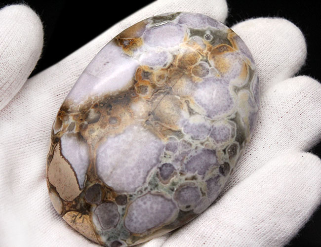 珍しい紫色。裏側はブラウン系。両面全く異なる配色のオービキュラージャスパー（Orbicular Jasper）（その4）