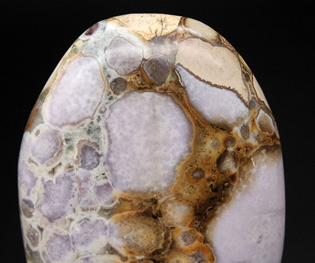 珍しい紫色。裏側はブラウン系。両面全く異なる配色のオービキュラージャスパー（Orbicular Jasper）（その5）