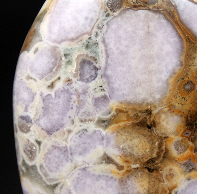 珍しい紫色。裏側はブラウン系。両面全く異なる配色のオービキュラージャスパー（Orbicular Jasper）（その6）