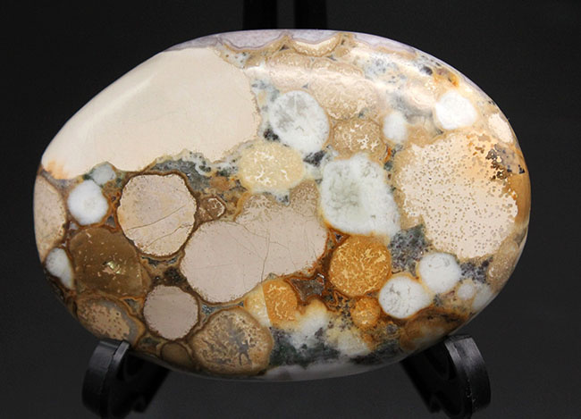 珍しい紫色。裏側はブラウン系。両面全く異なる配色のオービキュラージャスパー（Orbicular Jasper）（その8）