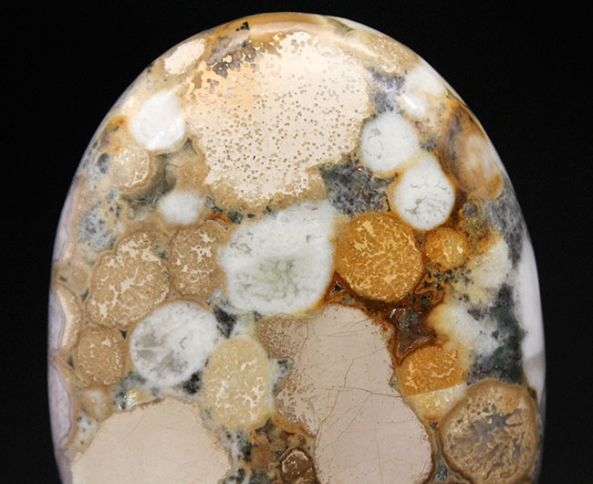 珍しい紫色。裏側はブラウン系。両面全く異なる配色のオービキュラージャスパー（Orbicular Jasper）（その9）