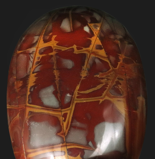 濃い赤と辛子色のコンビネーションが美しい！西オーストラリア