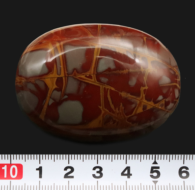 濃い赤と辛子色のコンビネーションが美しい！西オーストラリア