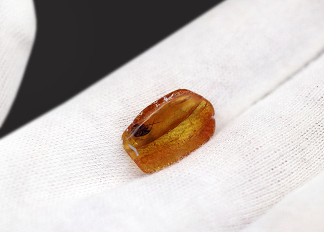 匂いはもうしません、ご安心ください。カメムシ亜目の虫と星状毛が内包された、お得なバルト海産琥珀(Amber)(その3)